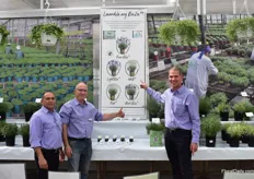 The tea of Hishtil, from left to right: Haim Rosenblum, Eyal Kleirger and Eyal Inbar, presenting Lavendula Beezee. The series, bred by David Kerley, consists of five different colors, with the same flowering window. BeeZee was introduced by Hishtil last year at 'Flower Trials'. The interest has increased since. See the following article to learn more about BeeZee: https://www.floraldaily.com/article/9084025/uniform-growth-lower-transport-costs-and-higher-bee-amounts/